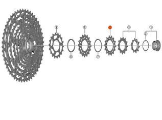 Shimano Ritzel 14 Zähne C CS-M8100, 6.95 €, Auto & Fahrrad-Teile & Zubehör in Österreich