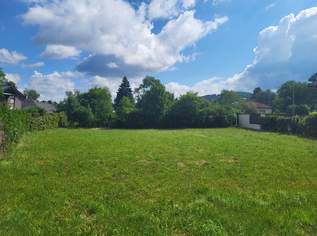 Baugrundstück ohne Bauzwang, 165000 €, Immobilien-Grund und Boden in 4421 Aschach an der Steyr Baugrundstück ohne Bauzwang, 165000 €, Immobilien-Grund und Boden in 4421 Aschach an der Steyr