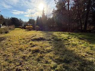 Einzigartiges Baugrundstück mit großem Schwimmteich in Graz, 340000 €, Immobilien-Grund und Boden in 8044 