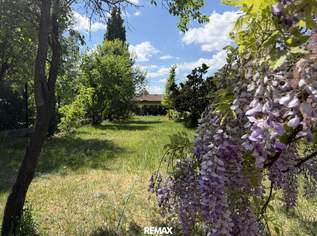Altbaujuwel mit Seele – Wohnen & Arbeiten unter einem Dach, 990000 €, Immobilien-Häuser in 1230 Liesing Altbaujuwel mit Seele – Wohnen & Arbeiten unter einem Dach, 990000 €, Immobilien-Häuser in 1230 Liesing
