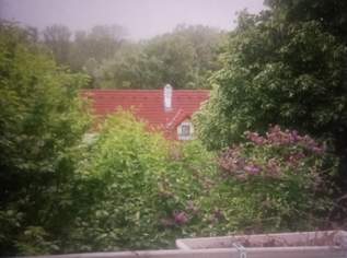 Vermiete ein Zimmer (im Haus ) in 1170 Wien, Neuwaldegg, 390 €, Immobilien-Kleinobjekte & WGs in 1170 Hernals Vermiete ein Zimmer (im Haus ) in 1170 Wien, Neuwaldegg, 390 €, Immobilien-Kleinobjekte & WGs in 1170 Hernals