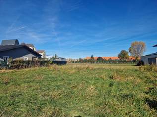 PERFEKTE RUHELAGE OHNE BAUZWANG IN JUDENAU IN HL-BAHNHOFSNÄHE - IHR TRAUMGRUNDSTÜCK WARTET AUF SIE, 195000 €, Immobilien-Grund und Boden in 3441 Judenau PERFEKTE RUHELAGE OHNE BAUZWANG IN JUDENAU IN HL-BAHNHOFSNÄHE - IHR TRAUMGRUNDSTÜCK WARTET AUF SIE, 195000 €, Immobilien-Grund und Boden in 3441 Judenau