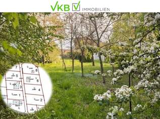 Großzügiges Grundstück guter Lage nähe Gallneukirchen! – Gemeinde Alberndorf in der Riedmark (GST 2438/3), 207000 €, Immobilien-Grund und Boden in 4211 Spattendorf Großzügiges Grundstück guter Lage nähe Gallneukirchen! – Gemeinde Alberndorf in der Riedmark (GST 2438/3), 207000 €, Immobilien-Grund und Boden in 4211 Spattendorf