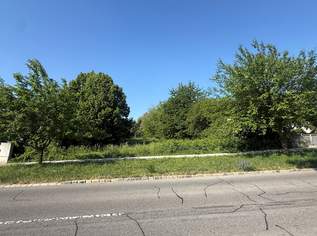 Großzügiges Baugrundstück in Seenähe, 599000 €, Immobilien-Grund und Boden in 7035 Steinbrunn
