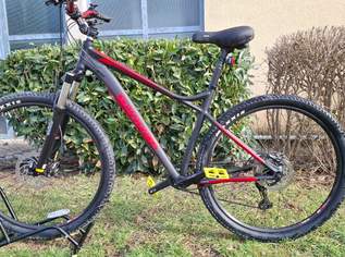 Top ausgestattetes 29 Zoll MTB X-Fact Hardtail