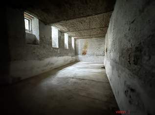 Seltene Gelegenheit: Sehr hohes, geräumiges Kellermagazin mit Tageslicht und Fenstern zum Hof, Wasser- und Stromanschluss und WC, 75000 €, Immobilien-Gewerbeobjekte in 1030 Landstraße Seltene Gelegenheit: Sehr hohes, geräumiges Kellermagazin mit Tageslicht und Fenstern zum Hof, Wasser- und Stromanschluss und WC, 75000 €, Immobilien-Gewerbeobjekte in 1030 Landstraße