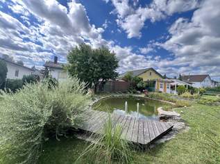 Ruheoase mit Schwimmbiotop in Eggendorf zwischen Baden und Wiener Neustadt!, 319000 €, Immobilien-Häuser in 2492 Eggendorf