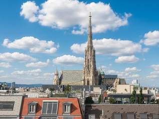 4 Zimmer -100m2 Dachterrasse, 4990 €, Immobilien-Wohnungen in 1010 Innere Stadt 4 Zimmer -100m2 Dachterrasse, 4990 €, Immobilien-Wohnungen in 1010 Innere Stadt