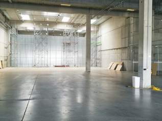 1.070m² Halle mit eigener Rampe | Parkplätze verfügbar | optionale Büros zwischen ca. 36m² und 1.000m² am Standort, 8958.8 €, Immobilien-Gewerbeobjekte in 2351 Gemeinde Wiener Neudorf