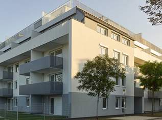 2-Zimmer-Gartenwohnung inkl. Komplettküche und Kellerabteil in Wiener Neustadt/ CQ02 Top 2-02, 649.99 €, Immobilien-Wohnungen in Niederösterreich