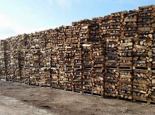 Brennholz und Paletten, 50 €, Haus, Bau, Garten-Hausbau & Werkzeug in 2100 Gemeinde Korneuburg Brennholz und Paletten, 50 €, Haus, Bau, Garten-Hausbau & Werkzeug in 2100 Gemeinde Korneuburg