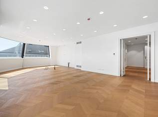 Repräsentative Penthouse Wohnung ohne Schrägen, Wintergarten, Weinkeller, Garage - und nach Wunsch privat concierge Service., 7099000 €, Immobilien-Wohnungen in 1010 Innere Stadt