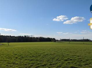 Grundstücke am Stadtrand von St. Pölten, 116234 €, Immobilien-Grund und Boden in 3100 Stattersdorf