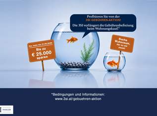 Charmante 1-Zimmer-Wohnung im klassischen Altbauparterre, 199000 €, Immobilien-Wohnungen in 1030 Landstraße Charmante 1-Zimmer-Wohnung im klassischen Altbauparterre, 199000 €, Immobilien-Wohnungen in 1030 Landstraße