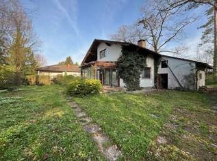 Einfamilienhaus mit Potential und großem Grundstück zu verkaufen, 0 €, Immobilien-Häuser in 4600 Thalheim bei Wels