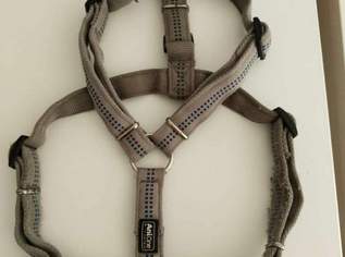 2x Hunde Leinen/1x B. Geschirr 2x Hunde Leinen/1x B. Geschirr