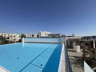 Pool am Dach - schöne 3 Zimmer Balkonwohnung in Atzgerdorf, 1349 €, Immobilien-Wohnungen in 1230 Liesing Pool am Dach - schöne 3 Zimmer Balkonwohnung in Atzgerdorf, 1349 €, Immobilien-Wohnungen in 1230 Liesing