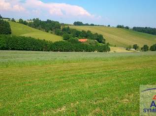 Acker in Spitzenlage!, 0 €, Immobilien-Grund und Boden in 4943 Geinberg Acker in Spitzenlage!, 0 €, Immobilien-Grund und Boden in 4943 Geinberg