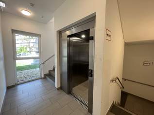 Moderne 2-Zimmer-Wohnung mit Balkon, 999 €, Immobilien-Wohnungen in 1100 Favoriten Moderne 2-Zimmer-Wohnung mit Balkon, 999 €, Immobilien-Wohnungen in 1100 Favoriten