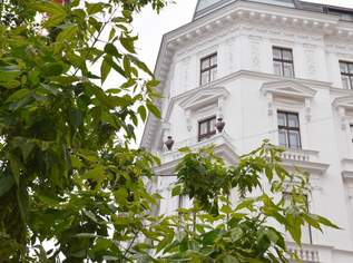 Ein JUWEL im Zentrum Wiens – Stil, Luxus und Lage in Perfektion, 6800000 €, Immobilien-Wohnungen in 1010 Innere Stadt
