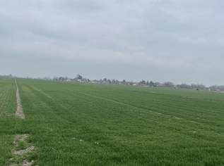 Kleinerer Acker in Kopfstetten!, 0 €, Immobilien-Grund und Boden in 2305 Kopfstetten Kleinerer Acker in Kopfstetten!, 0 €, Immobilien-Grund und Boden in 2305 Kopfstetten