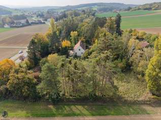 Viel Platz im Grünen: Haus mit Garage auf 8.580 m² Grundstück in Plankenberg, 410000 €, Immobilien-Häuser in 3451 Plankenberg