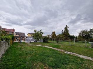 "Grundstück - Landhaus mit Pool", 380000 €, Immobilien-Grund und Boden in 2230 Gemeinde Gänserndorf