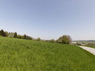 Baugrund in Wolfsegg / Gstaudet, 215550 €, Immobilien-Grund und Boden in 4902 Wolfsegg am Hausruck Baugrund in Wolfsegg / Gstaudet, 215550 €, Immobilien-Grund und Boden in 4902 Wolfsegg am Hausruck