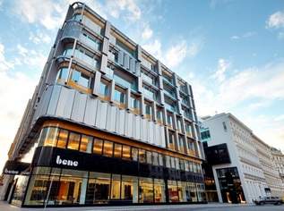 „Juwel in der City“ - Topmoderne Innenstadtflächen, 12054 €, Immobilien-Gewerbeobjekte in 1010 Innere Stadt „Juwel in der City“ - Topmoderne Innenstadtflächen, 12054 €, Immobilien-Gewerbeobjekte in 1010 Innere Stadt