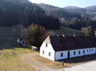 Traumhaftes Grundstück mit großem Potenzial direkt an der Donau, drei Gebäude inklusive!, 192276 €, Immobilien-Häuser in 3370 Ybbs an der Donau