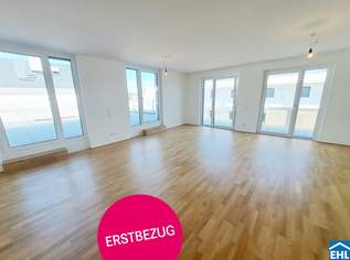 Ihr renditestarkes Investment in Stockerau: Das Koloman, 673000 €, Immobilien-Wohnungen in 2000 Gemeinde Stockerau