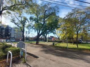 TOPLAGE! Einziehen und Wohlfühlen! Provisionsfrei! Zentrale 2-Zimmer Wohnung in Ruhelage, beste Anbindung, 265000 €, Immobilien-Wohnungen in 1160 Ottakring