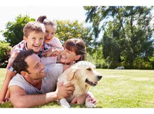 Preisreduktion!! Sonniges Baugrundstück in Toplage – Ruhe, Infrastruktur & Graz-Nähe perfekt vereint, 115000 €, Immobilien-Grund und Boden in 8072 Dillach