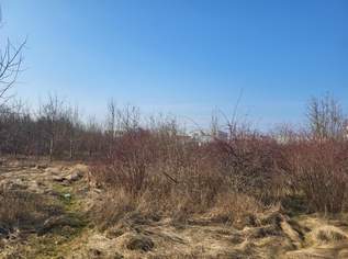 Gewerbegrundstück Wels, eingeschränkt gemischtes Baugebiet, 1488960 €, Immobilien-Gewerbeobjekte in 4600 Wels