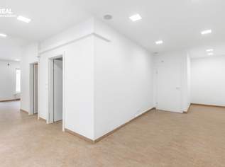 Büro/Praxis/Geschäftslokal mit individueller Gestaltungsmöglichkeit, 1592.31 €, Immobilien-Gewerbeobjekte in 2136 Gemeinde Laa an der Thaya