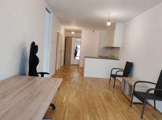 Mietwohnung in guter Lage, 899 €, Immobilien-Wohnungen in 1220 Donaustadt