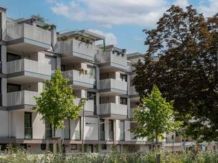 ++ NEU ++ CHARMANTES VIER Zimmer Townhouse, 731500 €, Immobilien-Wohnungen in 1220 Donaustadt ++ NEU ++ CHARMANTES VIER Zimmer Townhouse, 731500 €, Immobilien-Wohnungen in 1220 Donaustadt