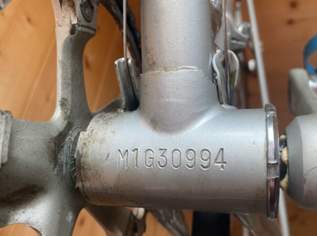 Rennrad Shogun zu verkaufen bj1975 restauriert , 250 €, Auto & Fahrrad-Fahrräder in 5700 Zell am See