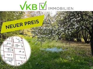 Großzügiges Grundstück nähe Gallneukirchen! - Gemeinde Alberndorf in der Riedmark (GST 2443/1), 220000 €, Immobilien-Grund und Boden in 4211 Spattendorf Großzügiges Grundstück nähe Gallneukirchen! - Gemeinde Alberndorf in der Riedmark (GST 2443/1), 220000 €, Immobilien-Grund und Boden in 4211 Spattendorf