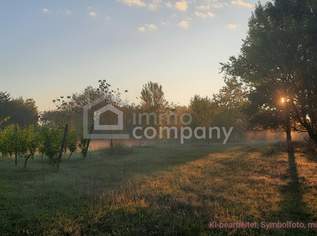 Großes arrondiertes Ackergrundstück ( fast 2ha ) in Illmitz, Burgenland, 0 €, Immobilien-Grund und Boden in 7142 Illmitz Großes arrondiertes Ackergrundstück ( fast 2ha ) in Illmitz, Burgenland, 0 €, Immobilien-Grund und Boden in 7142 Illmitz