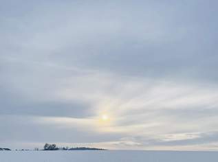 Traumhaftes Baugrundstück mit Altbestand in sehr guter Lage!, 0 €, Immobilien-Grund und Boden in 4203 Donach