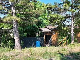 🏡 Charmantes Sommerhaus mit großem Garten & Wintergarten, 39000 €, Immobilien-Häuser in 2544 Leobersdorf