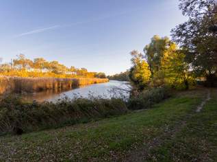 Alte Donau: Kleingartengrundstück mit Altbestand und Entwicklungspotenzial, 475000 €, Immobilien-Grund und Boden in 1220 Donaustadt Alte Donau: Kleingartengrundstück mit Altbestand und Entwicklungspotenzial, 475000 €, Immobilien-Grund und Boden in 1220 Donaustadt