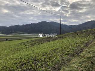 Über 1 ha Grund mit Bauland nahe Jennersdorf, 0 €, Immobilien-Grund und Boden in 8380 Jennersdorf