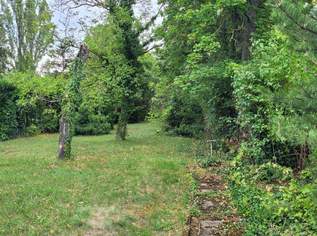 Sonniges Baugrundstück mit 1.672 m², ruhige Toplage nahe dem Ortszentrum, 1198000 €, Immobilien-Grund und Boden in 2380 Gemeinde Perchtoldsdorf Sonniges Baugrundstück mit 1.672 m², ruhige Toplage nahe dem Ortszentrum, 1198000 €, Immobilien-Grund und Boden in 2380 Gemeinde Perchtoldsdorf