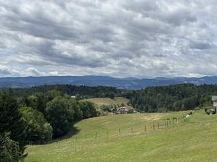 Große Landwirtschaft mit Wiesen und kleineren Wäldern welche zur Zeit als Wildtiergehege genutzt wird, Quadratmeterpreis 2,40 Euro, 138000 €, Immobilien-Gewerbeobjekte in 8152 Stallhofen