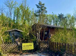 Reiterer See! Doppelparzelle mit Sommerhäuschen!, 350000 €, Immobilien-Grund und Boden in 2721 Bad Fischau Reiterer See! Doppelparzelle mit Sommerhäuschen!, 350000 €, Immobilien-Grund und Boden in 2721 Bad Fischau