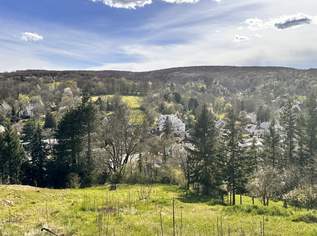 Traumhaftes Baugrundstück in Klosterneuburg - Ihr Eigenheim wartet auf Sie! Nur 770.000,00 € für 1220m², 770000 €, Immobilien-Grund und Boden in 3400 Gemeinde Klosterneuburg