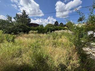 1210! Sonniges Grundstück auf EIGENGRUND in schöner Kleingartenanlage!, 239000 €, Immobilien-Grund und Boden in 1210 Floridsdorf
