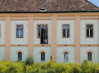 Lager in Schwechat zu mieten | zentrale Lage | sofort verfügbar, 216 €, Immobilien-Gewerbeobjekte in 2320 Schwechat Lager in Schwechat zu mieten | zentrale Lage | sofort verfügbar, 216 €, Immobilien-Gewerbeobjekte in 2320 Schwechat